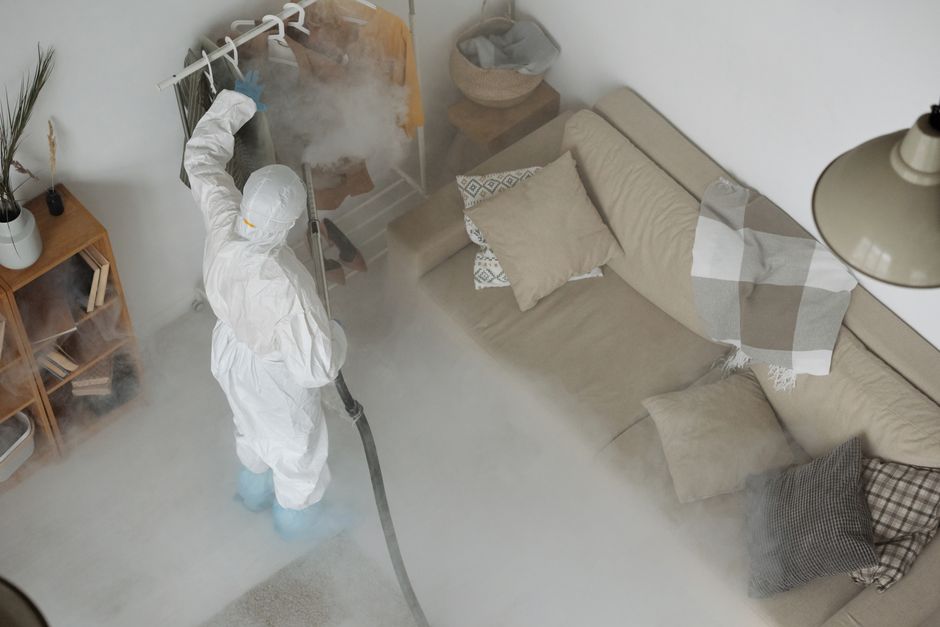 Professional steam cleaning a carpet